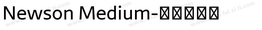 Newson Medium字体转换